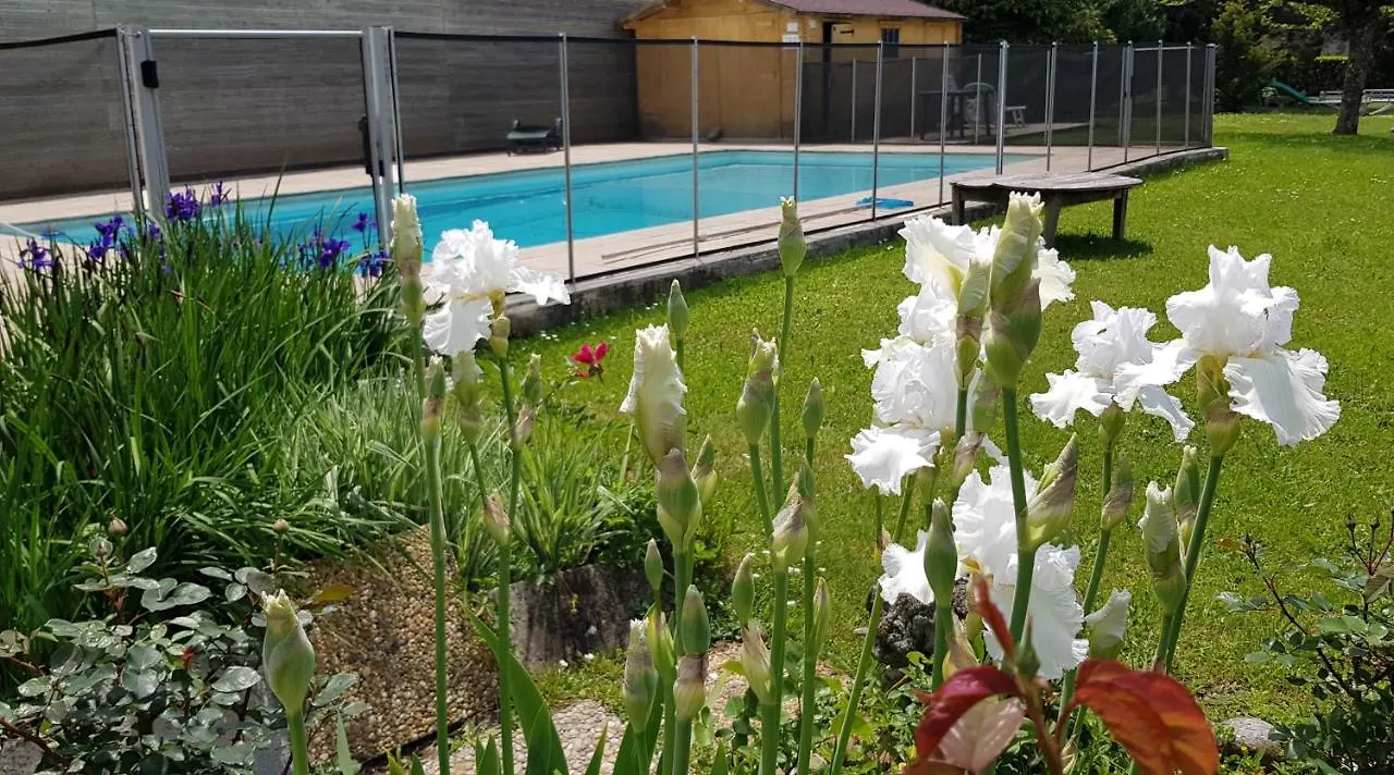 Gites De La Croisee Des Chemins - Piscine Chauffee - Spa, Hammam Et Sauna Izeaux France